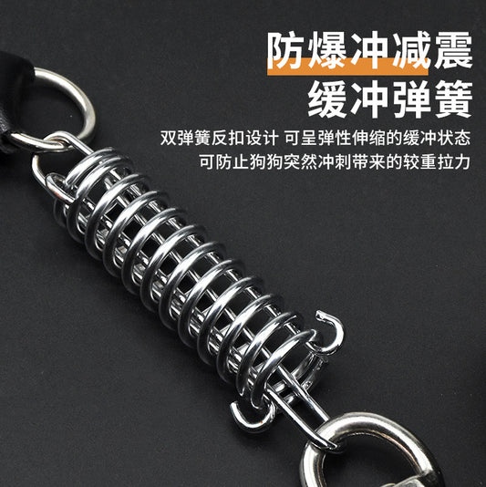 Leather Dog Leash and Collar Set