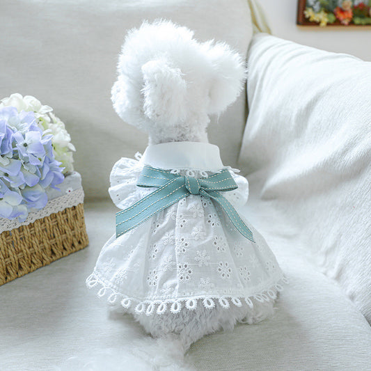 White Eyelet Summer Pet Dress