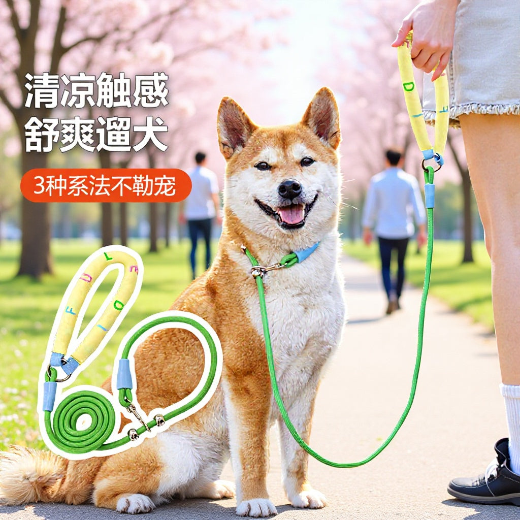 c3819a9b-dcbc-4d87-86d2-f389c74a3862