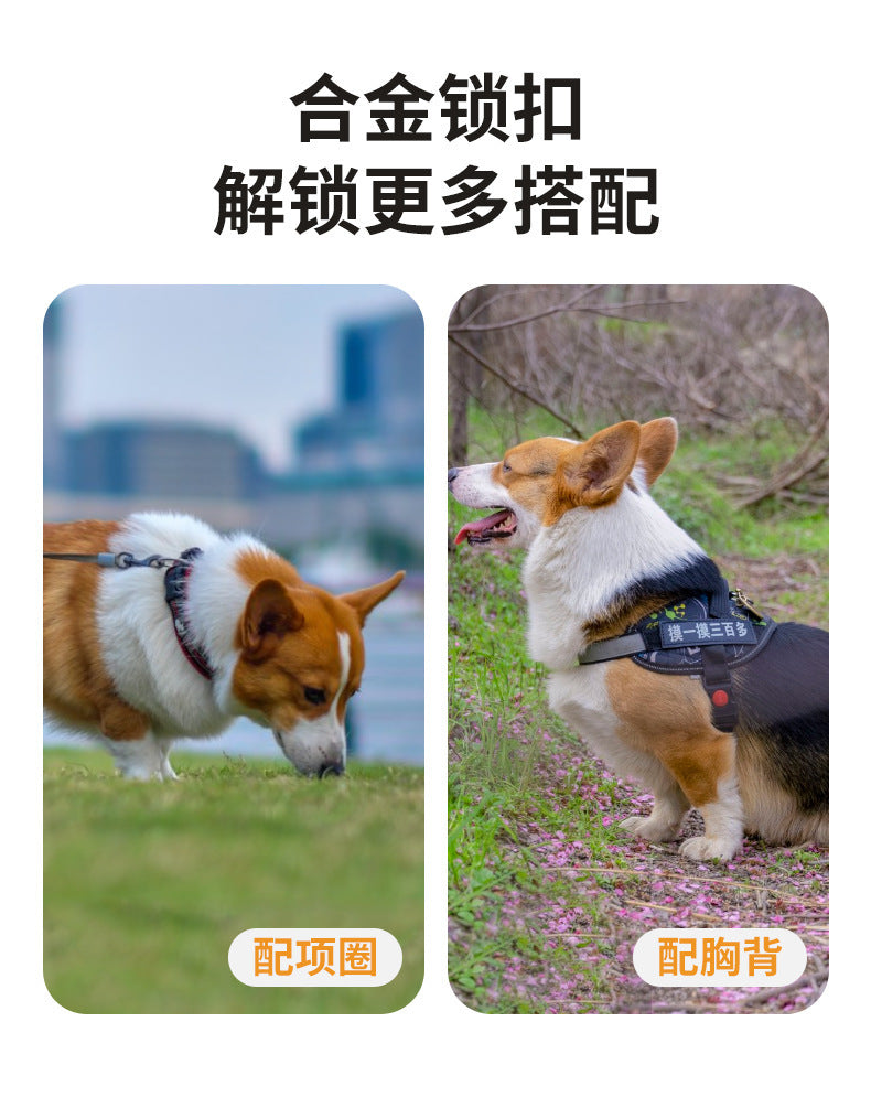 e43a39f1-8b1b-4119-9ce1-c67b9c204a7d