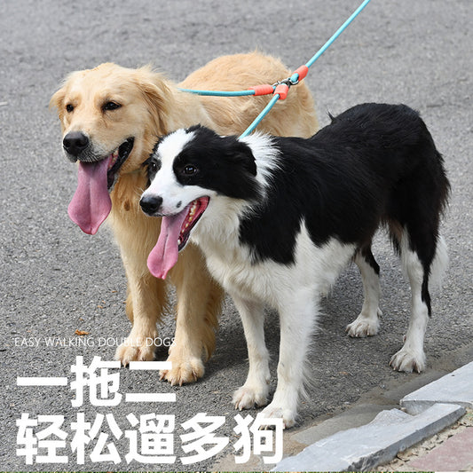 Double Dog Walking Leash