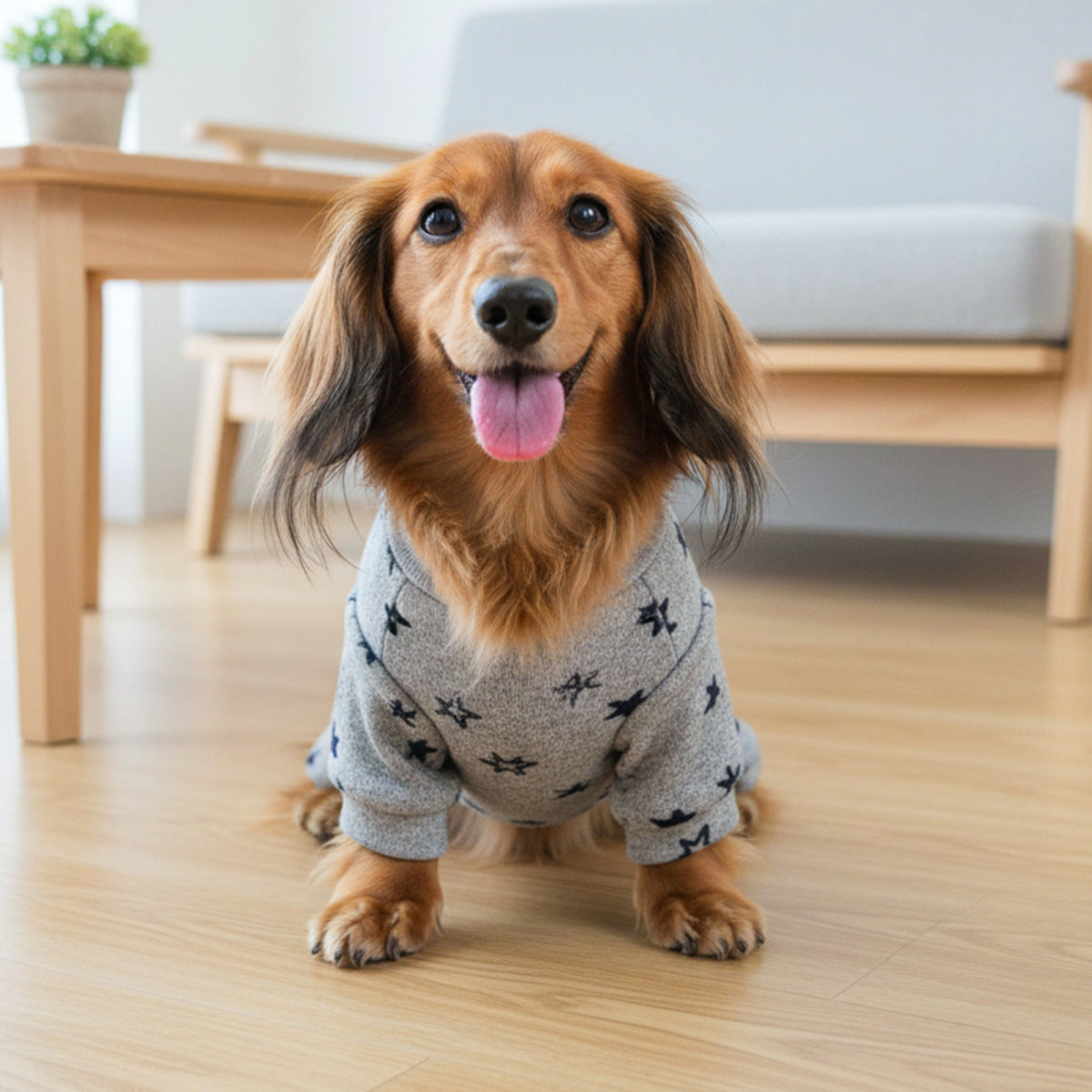 现货宠物服装宠物小狗猫咪衣服可爱小型犬春夏新灰色星星四脚衣