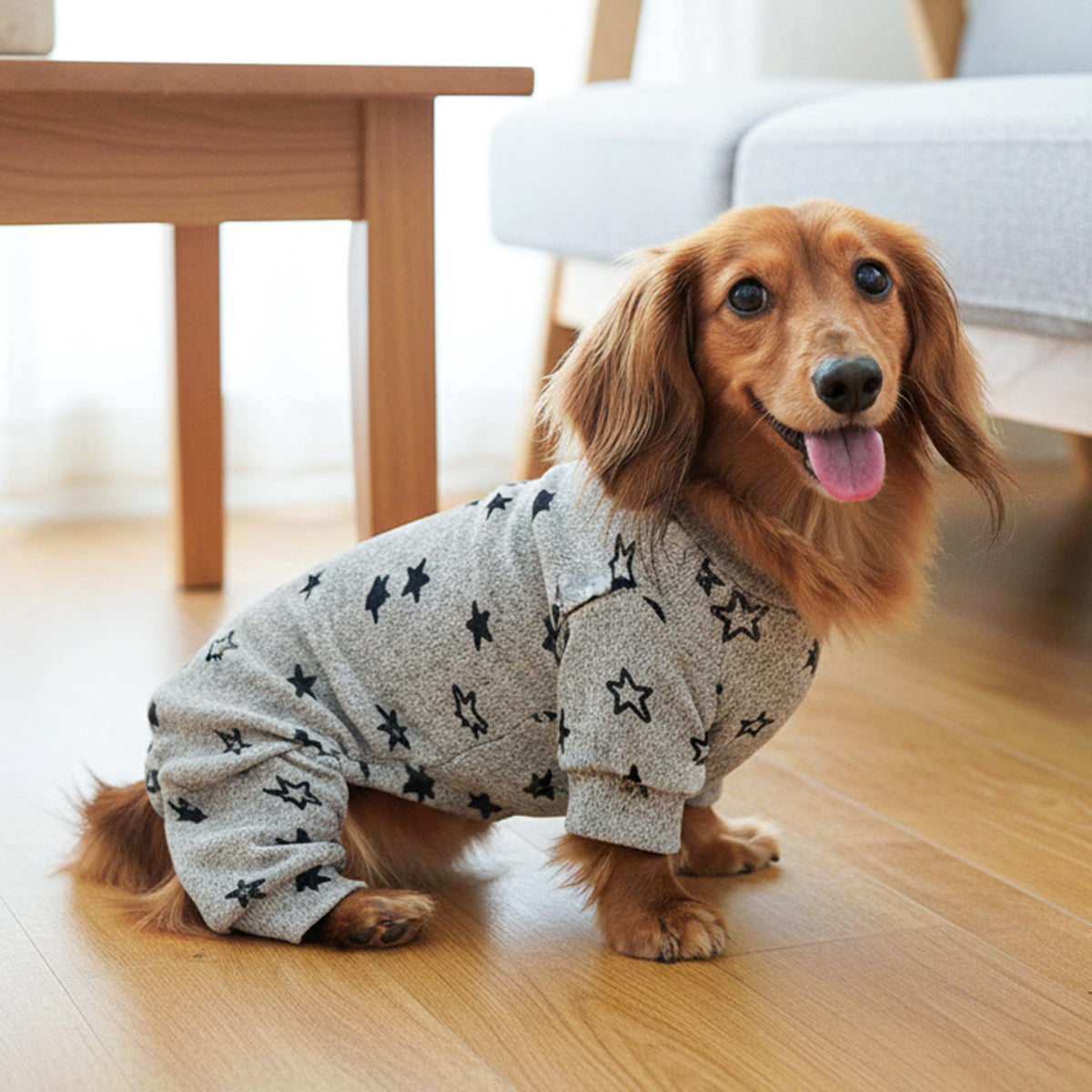 现货宠物服装宠物小狗猫咪衣服可爱小型犬春夏新灰色星星四脚衣