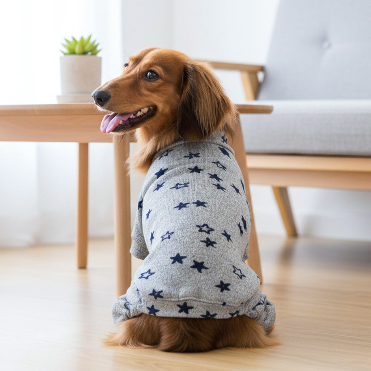 现货宠物服装宠物小狗猫咪衣服可爱小型犬春夏新灰色星星四脚衣
