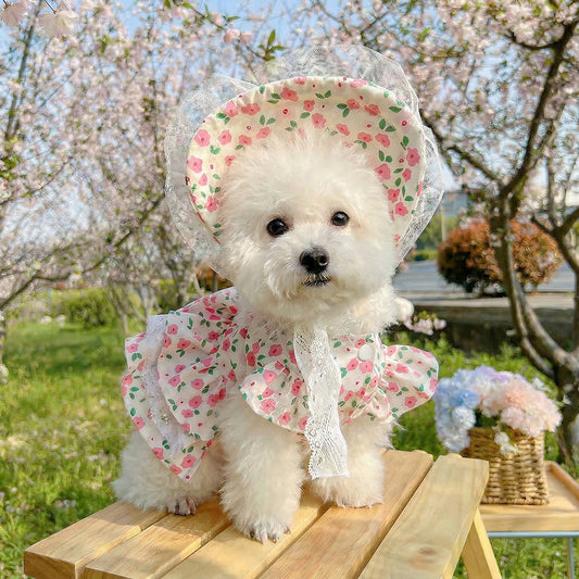 Floral Summer Pet Dress and Bonnet Set