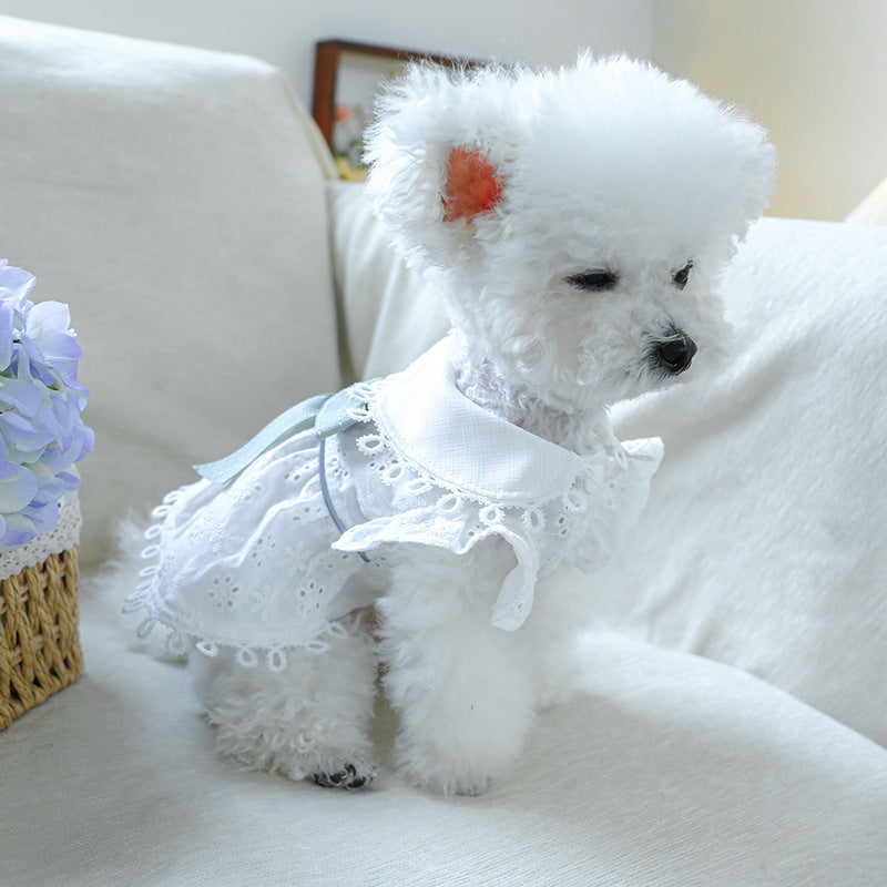 现货宠物服装宠物小狗猫咪衣服小型犬春夏镂空小白裙子一件代发