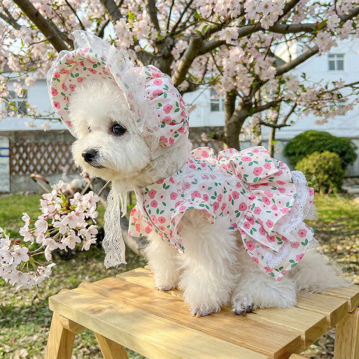 现货宠物服装宠物小狗猫咪衣服直销春夏季薄款甜美碎花裙帽子套装
