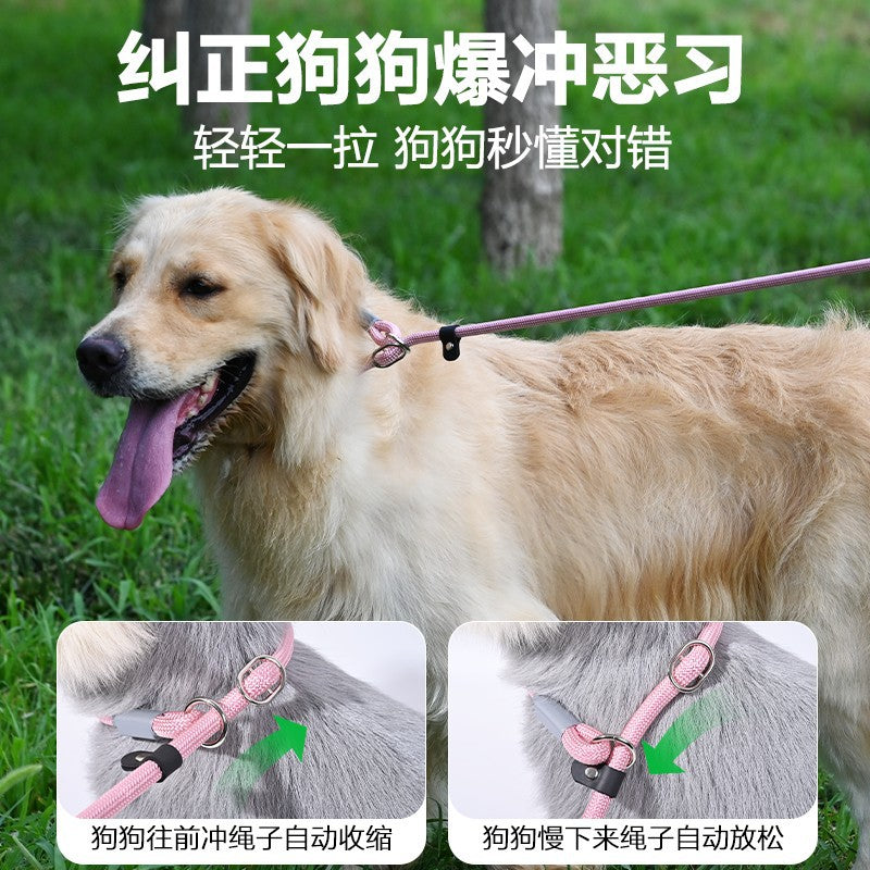 6cf9d64d-49ac-4b21-890e-89dbf978cd7c
